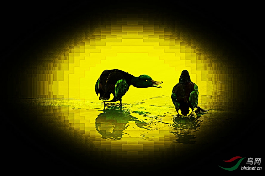 AQ1I0323_����_����1_����1_����.jpg