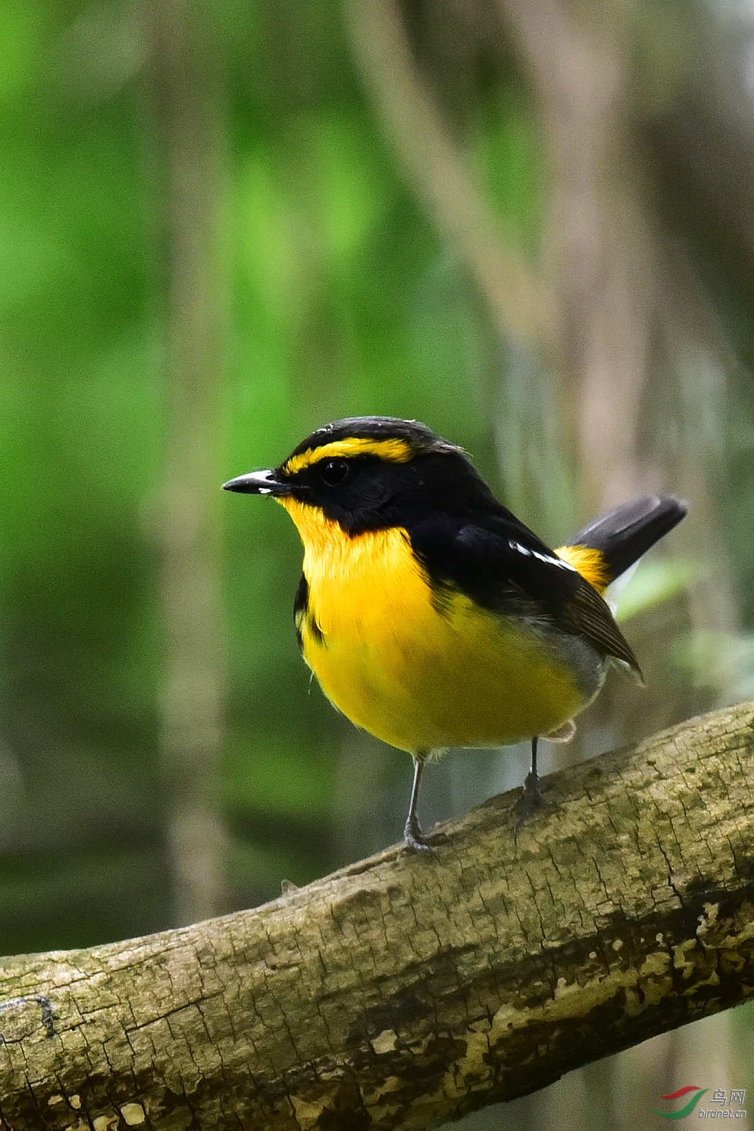 DSC_0618.JPG