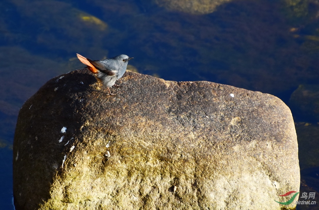 DSC_7704.JPG