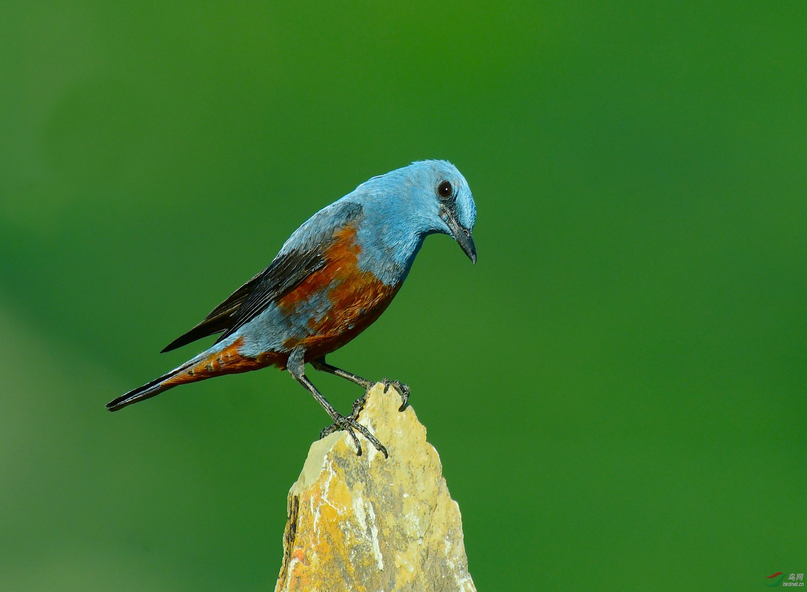DSC_9023.JPG