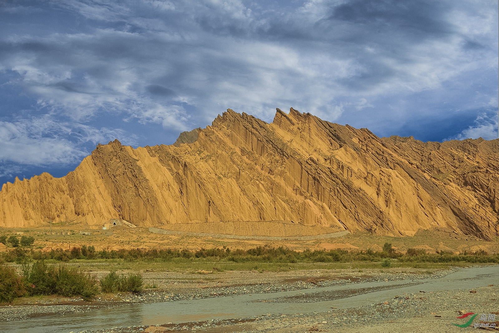 _D8A4403_6598a.jpg