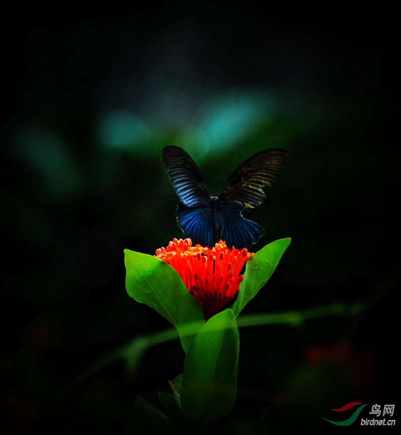 DSC_1538_����.jpg