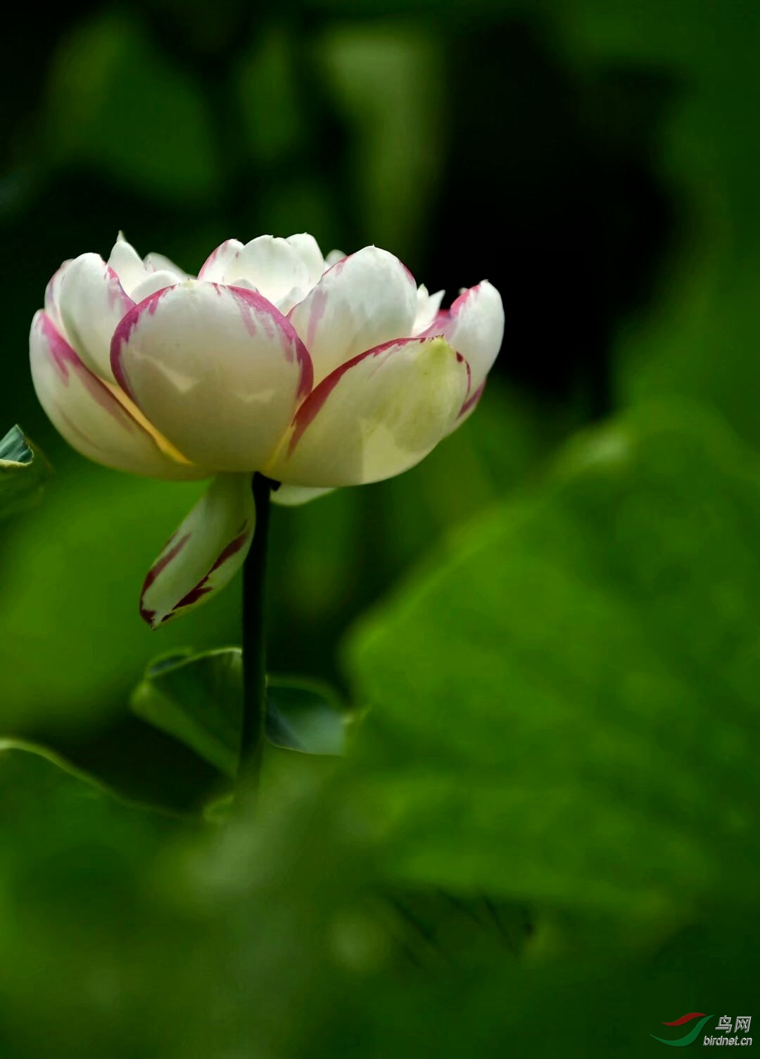 5D9AB789-7C9D-4611-985E-2746D8DB083A.jpeg