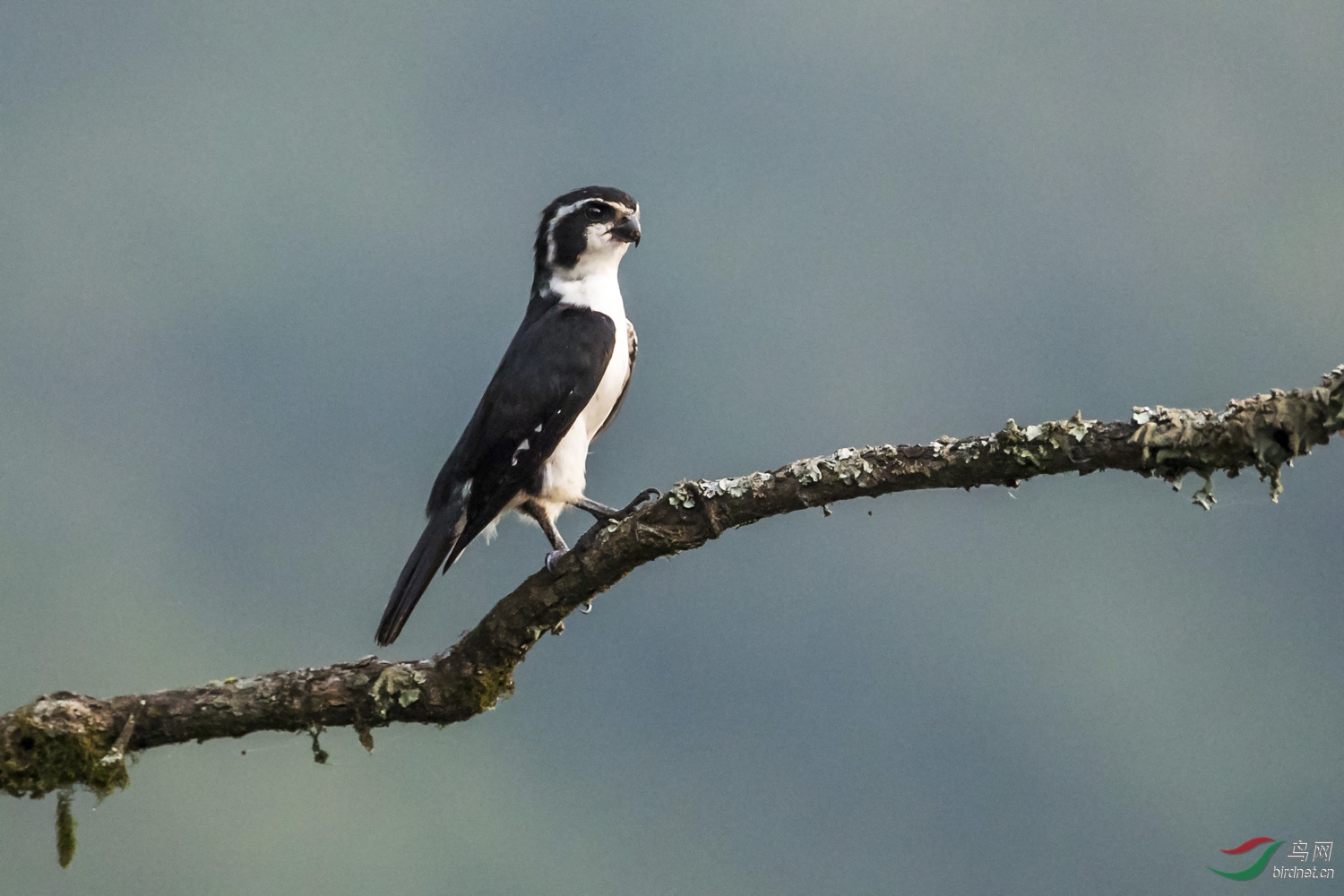 С��  006  20190718.JPG