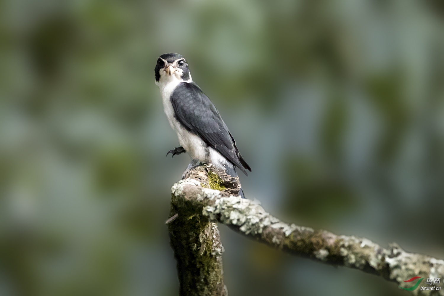 С��  002  20190718.JPG