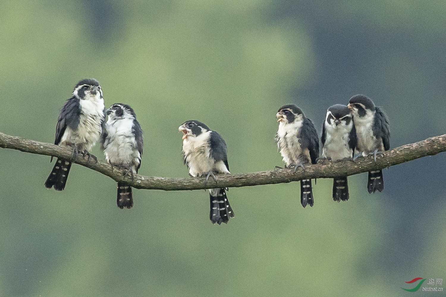 С��  010  20190719.JPG