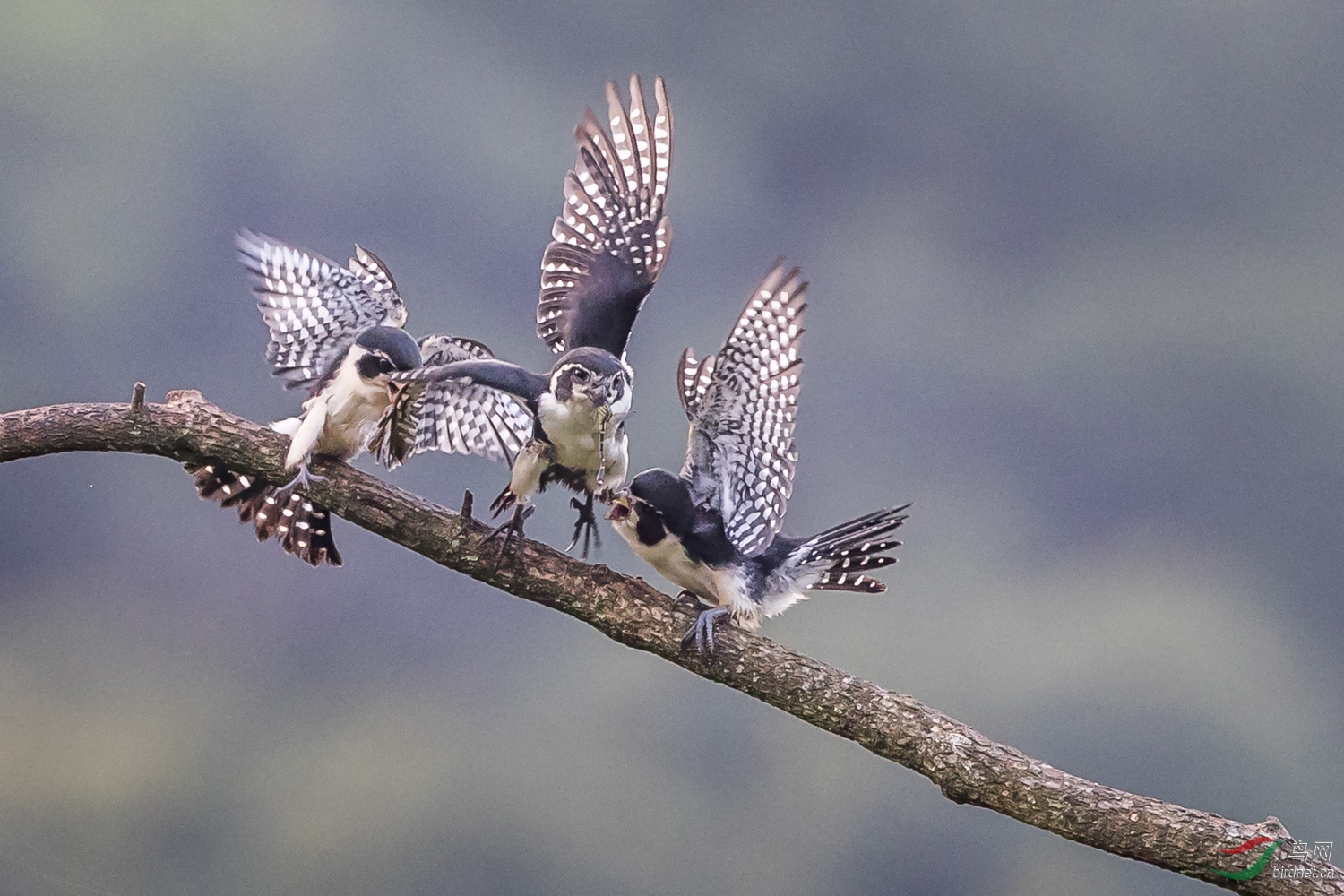 С��  029  20190719.JPG