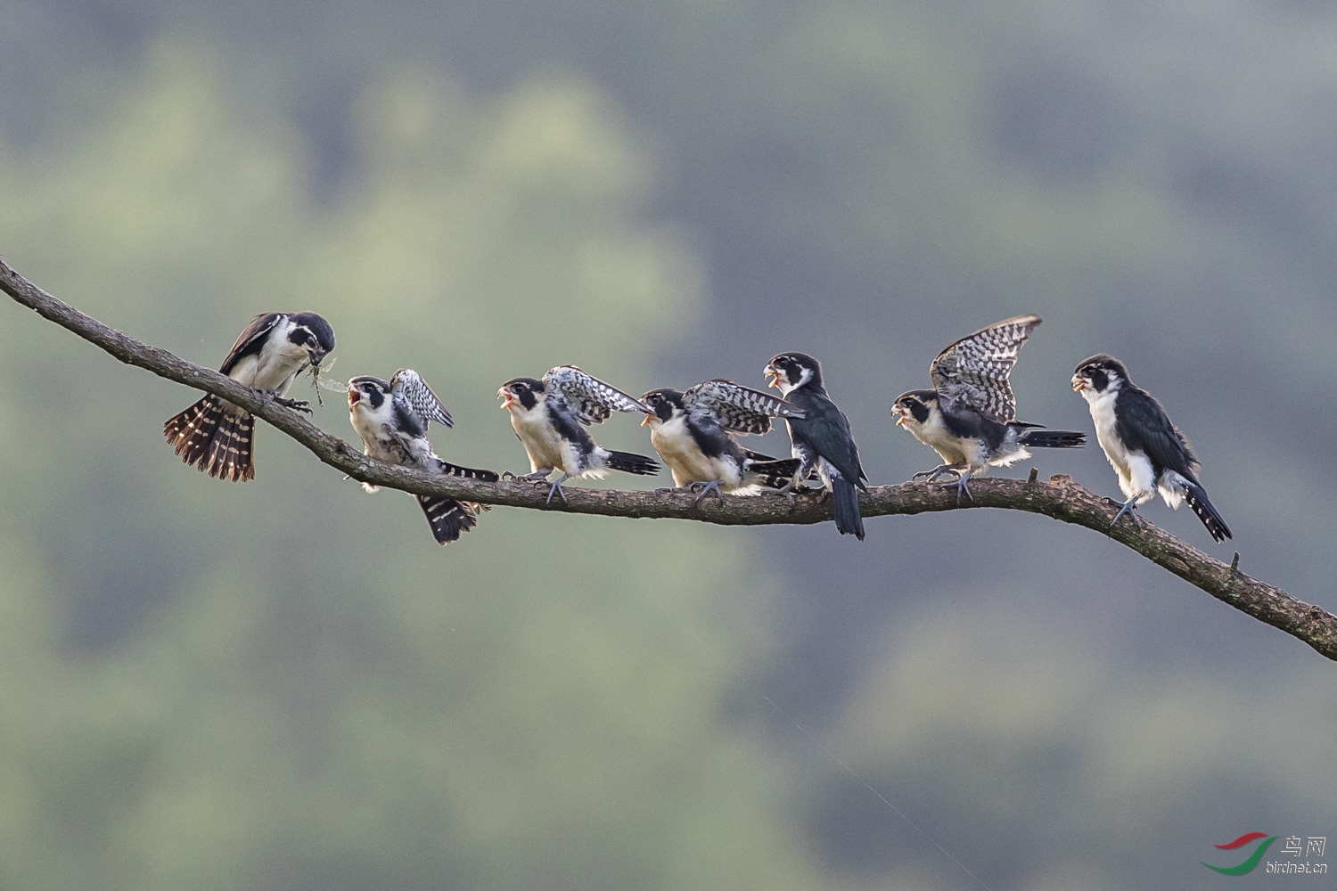 С��  053  20190719.JPG