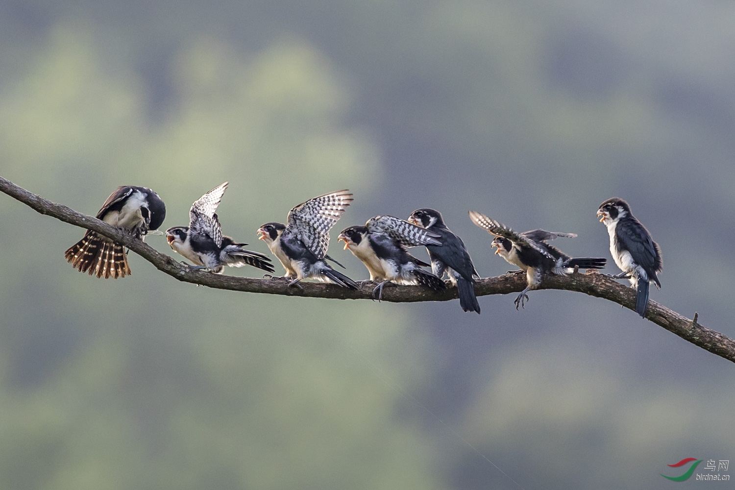 С��  050  20190719.JPG