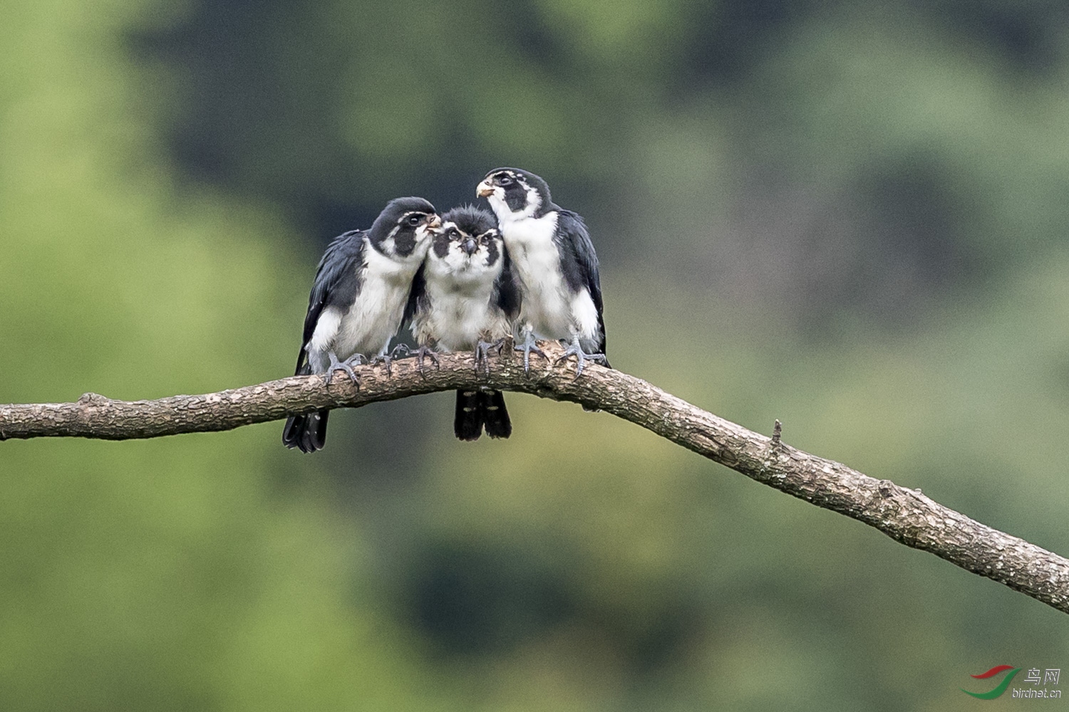 С��  108  20190719.JPG