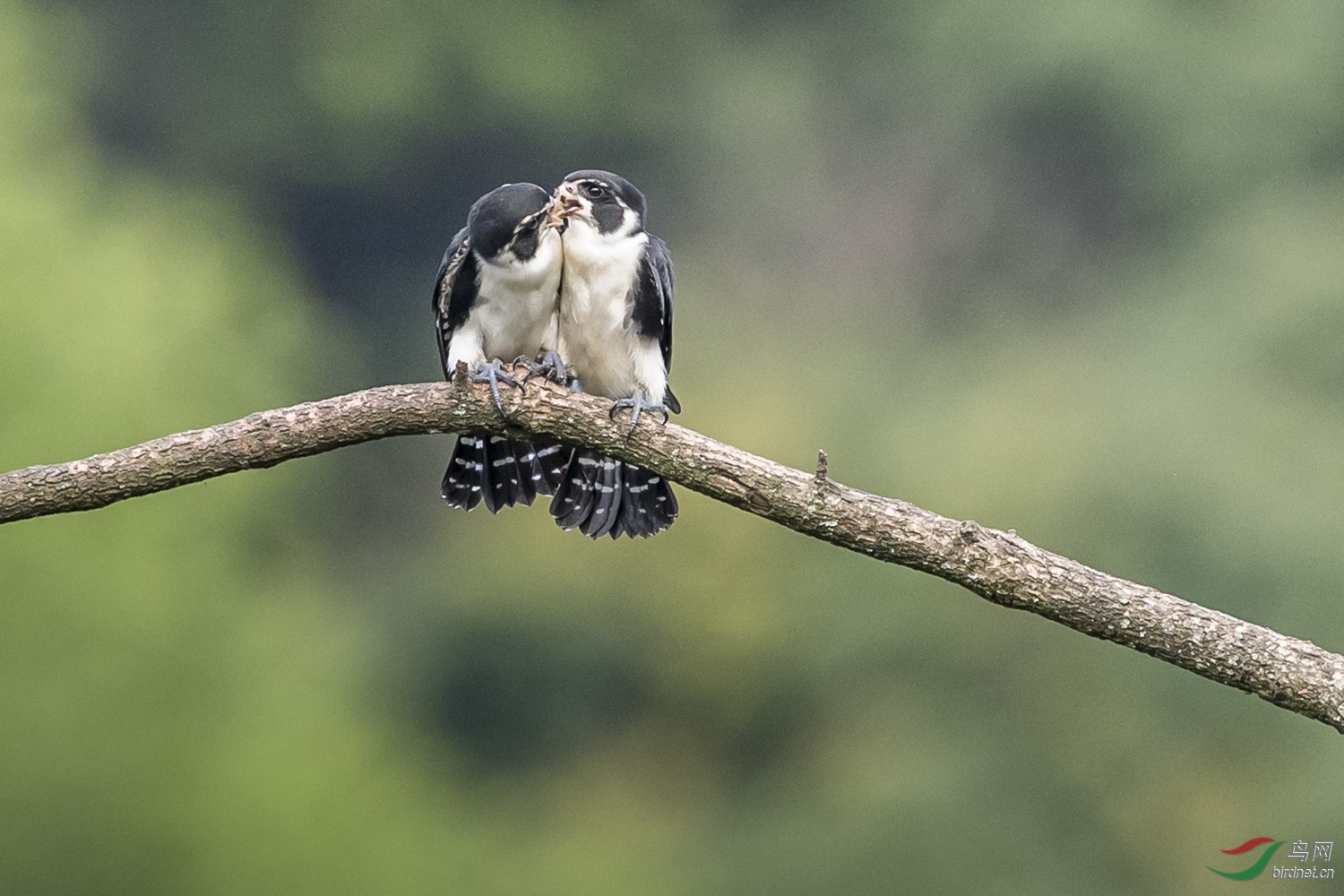 С��  112  20190719.JPG