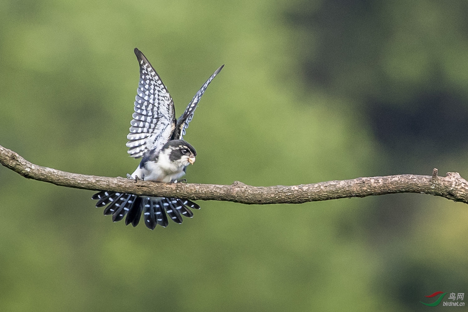 С��  115  20190719.JPG