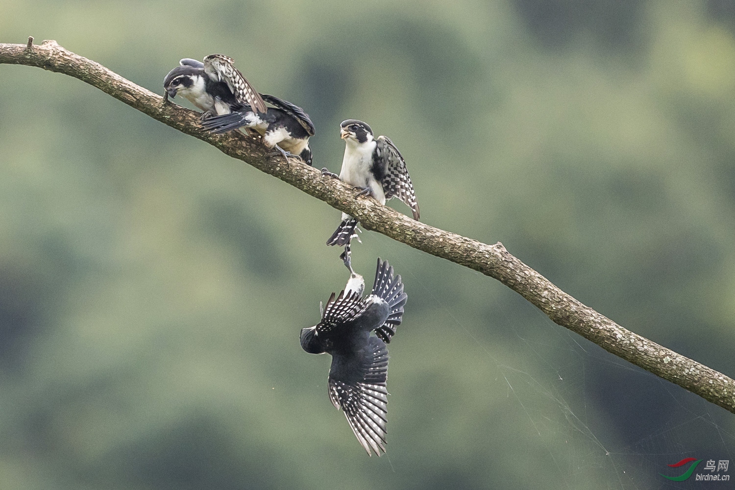 С��  221  20190720.JPG