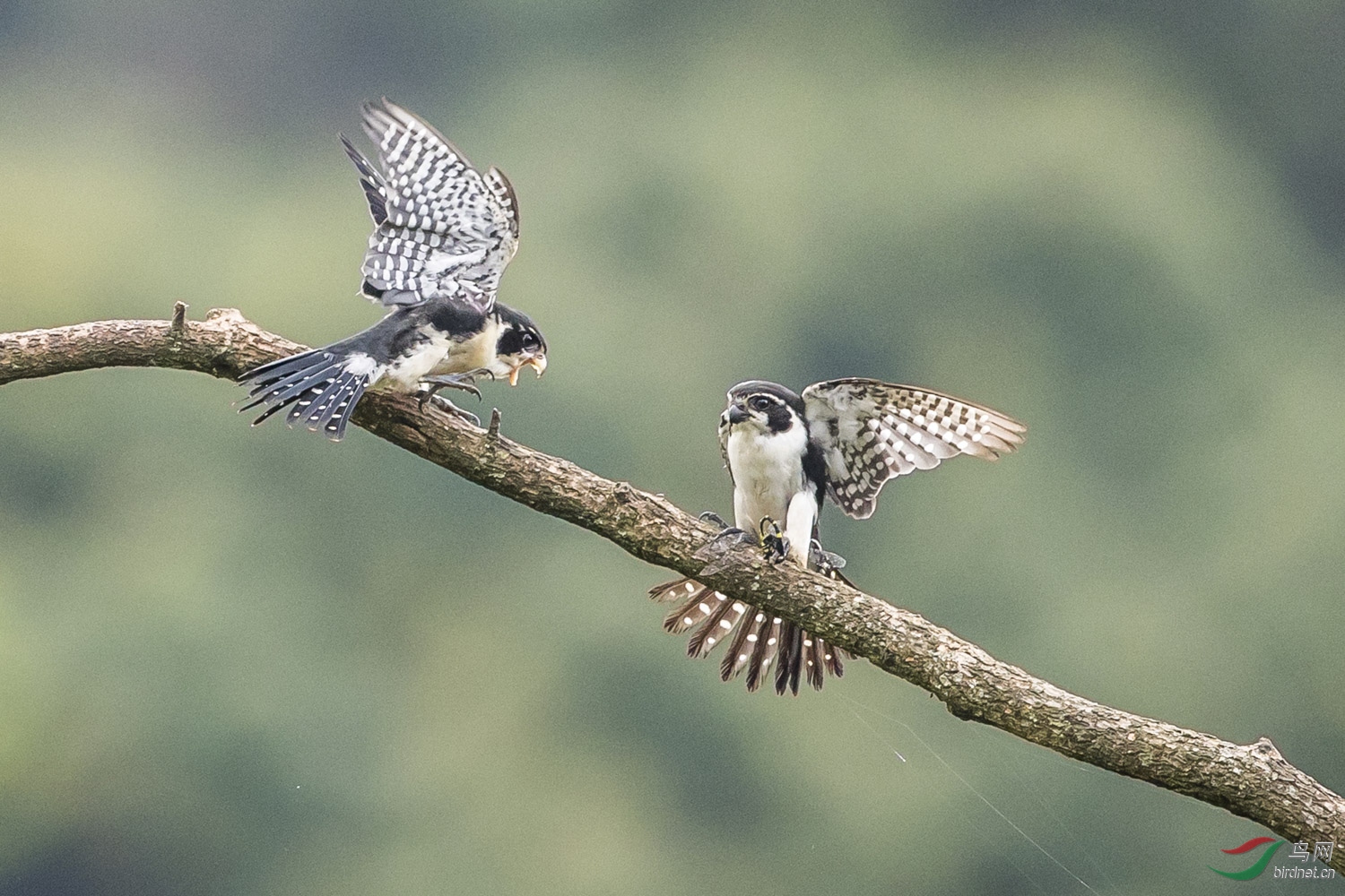 С��  201  20190720.JPG