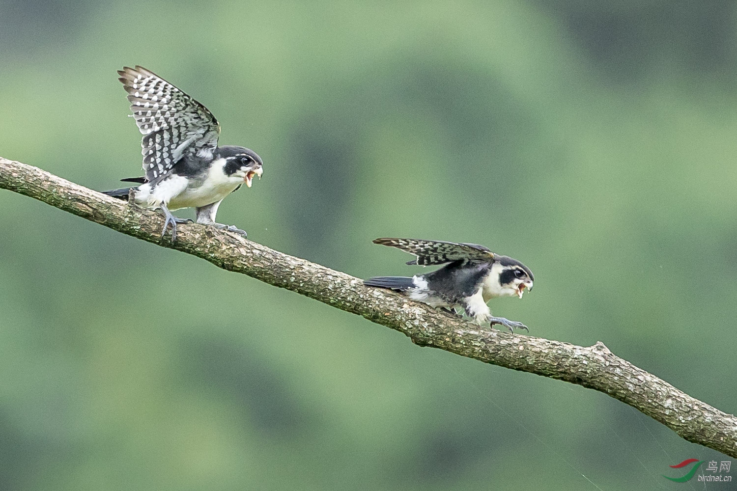 С��  271  20190720.JPG