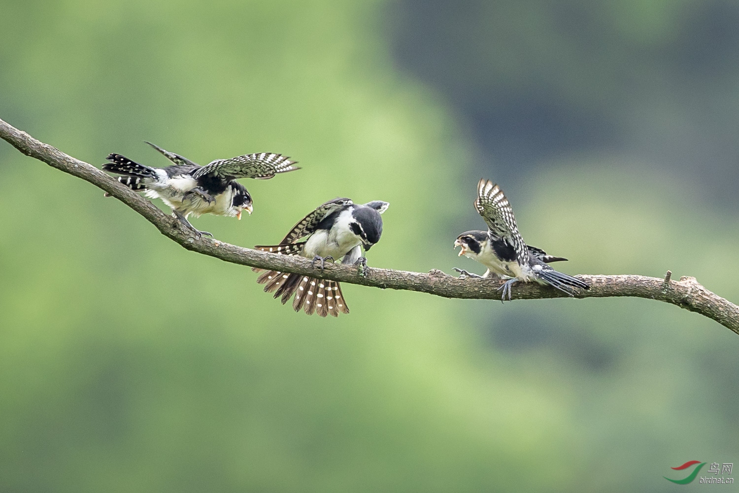 С��  275  20190720.JPG