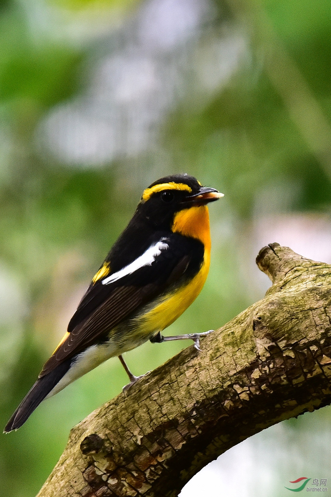 DSC_0623.JPG