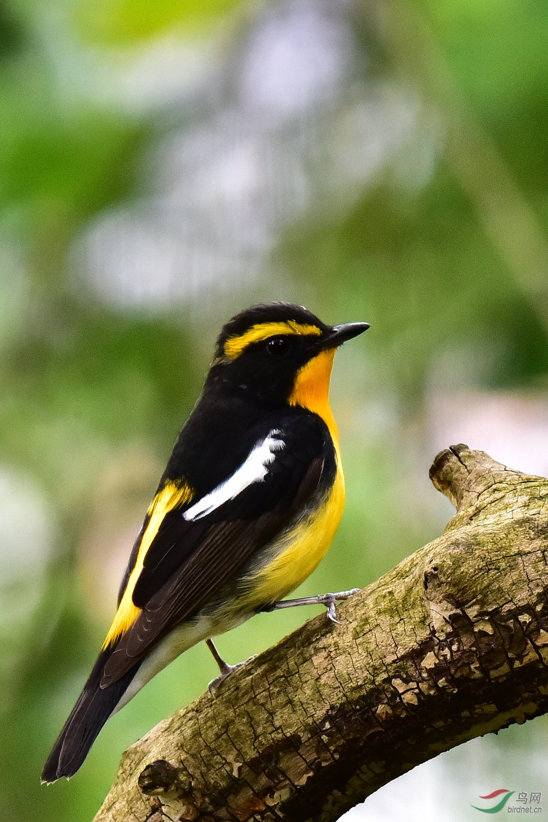 DSC_0625.JPG