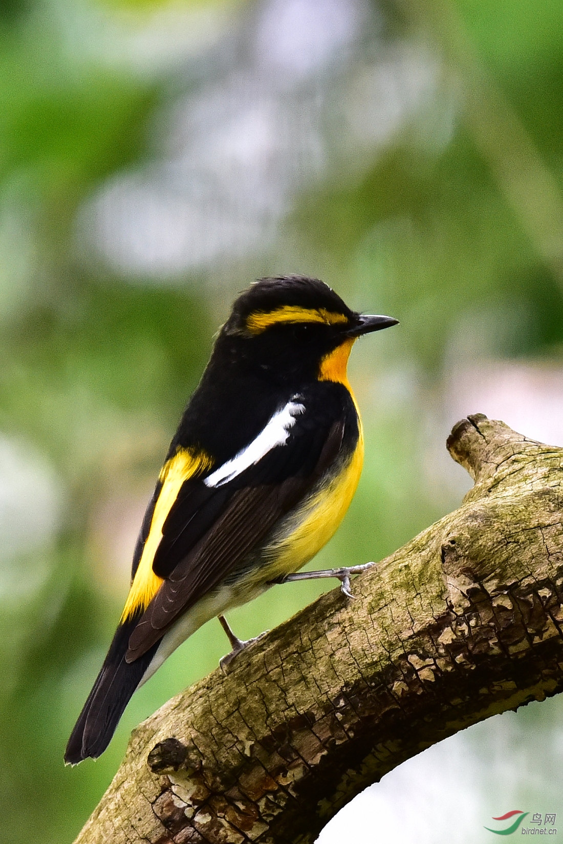 DSC_0626.JPG