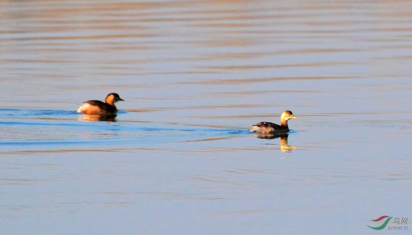 DSC_3725.JPG