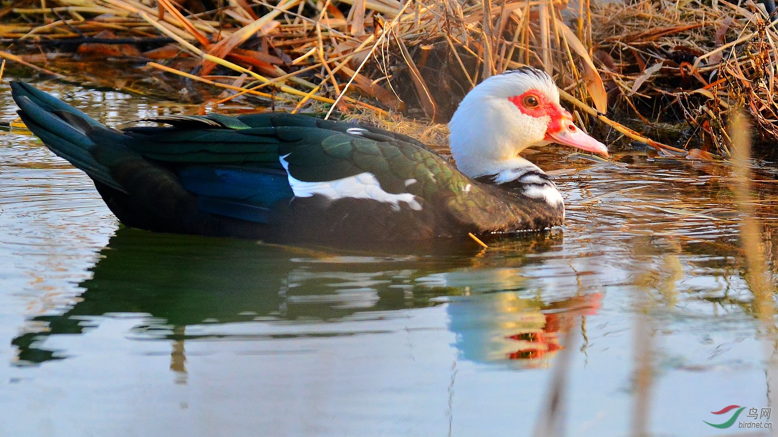DSC_4150.JPG