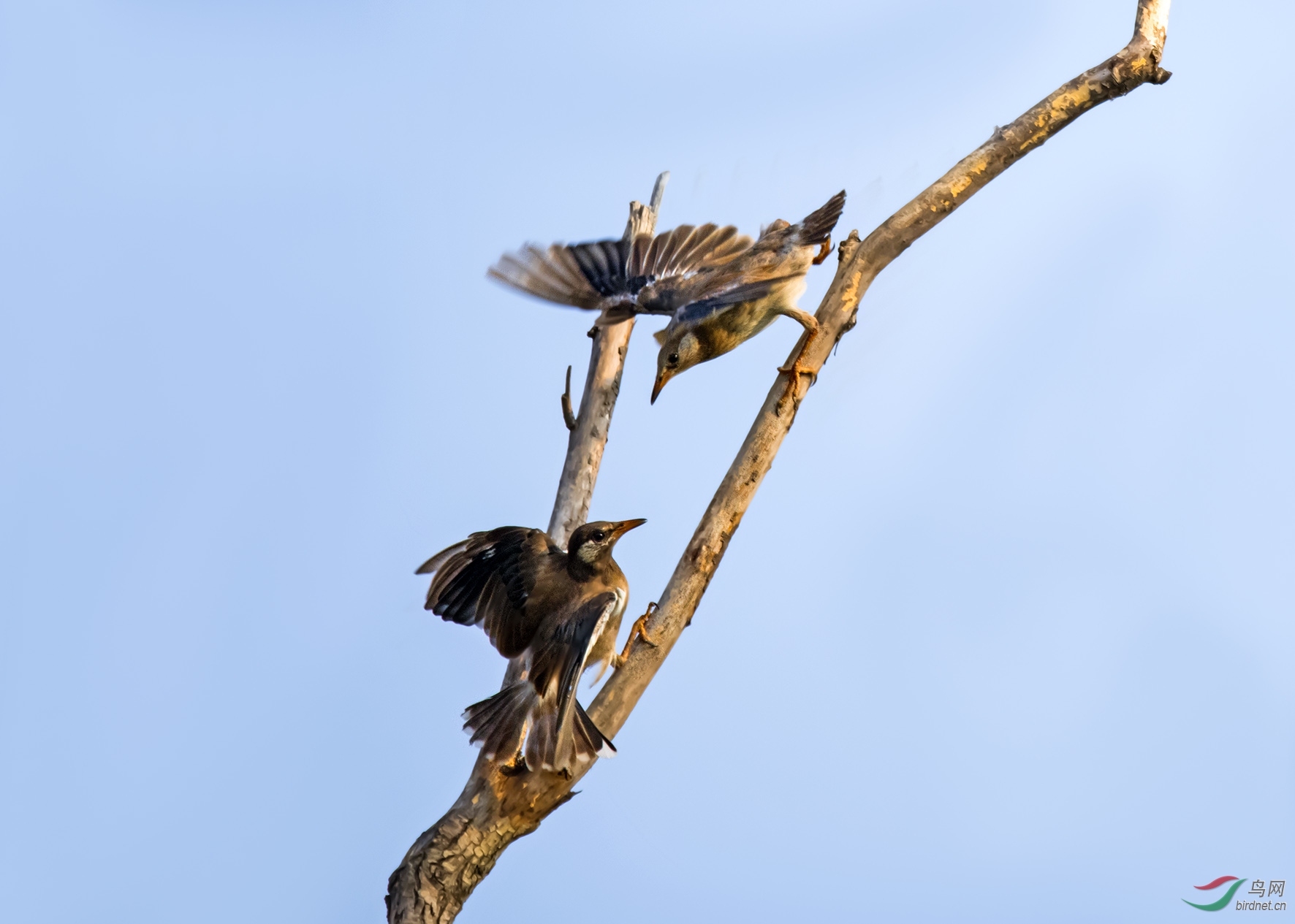 DSC_2194.jpg
