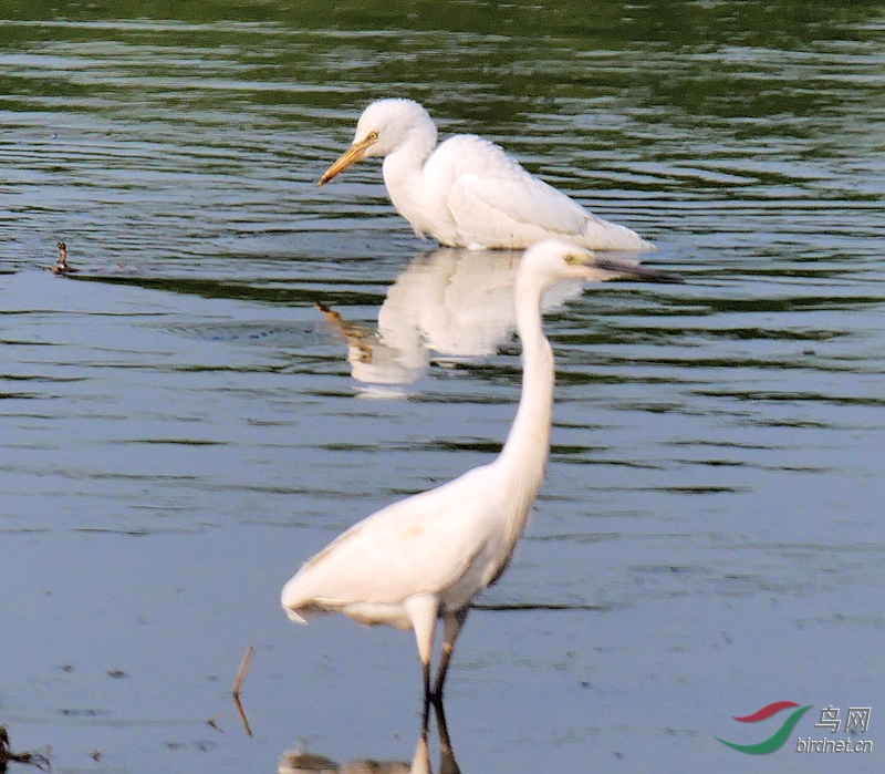 P3000517 - ����.JPG