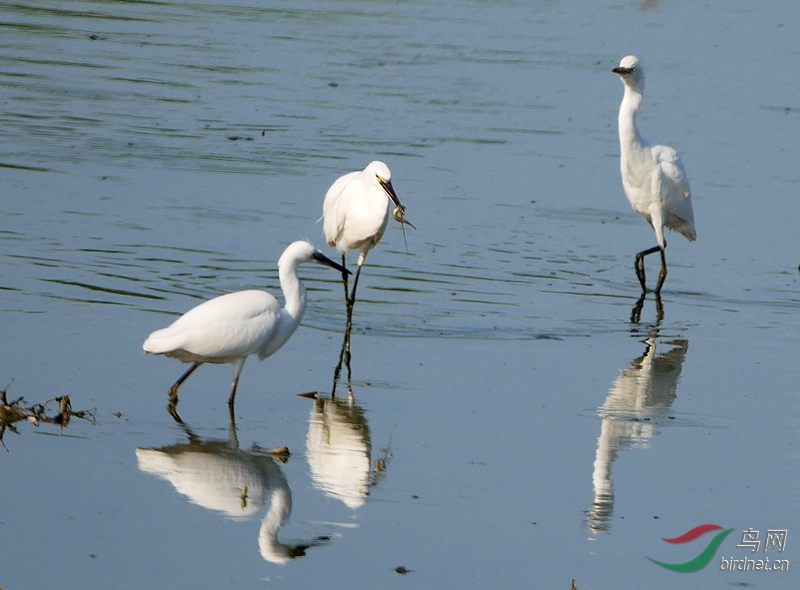 P3000402 - ����.JPG