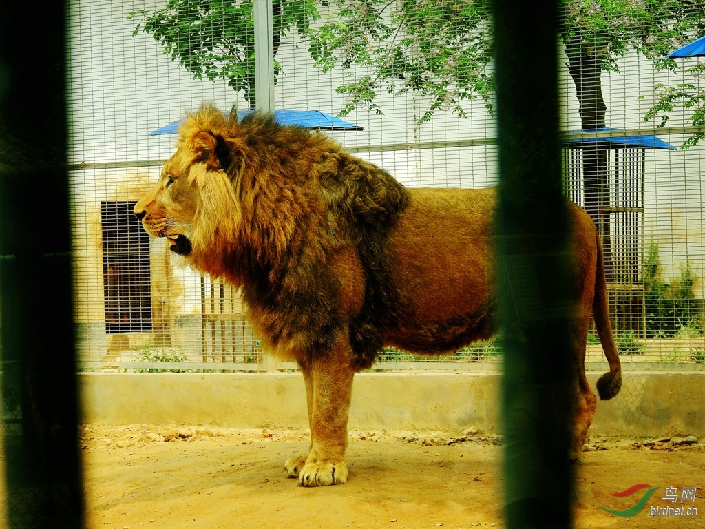 DSCN5223.JPG.jpg