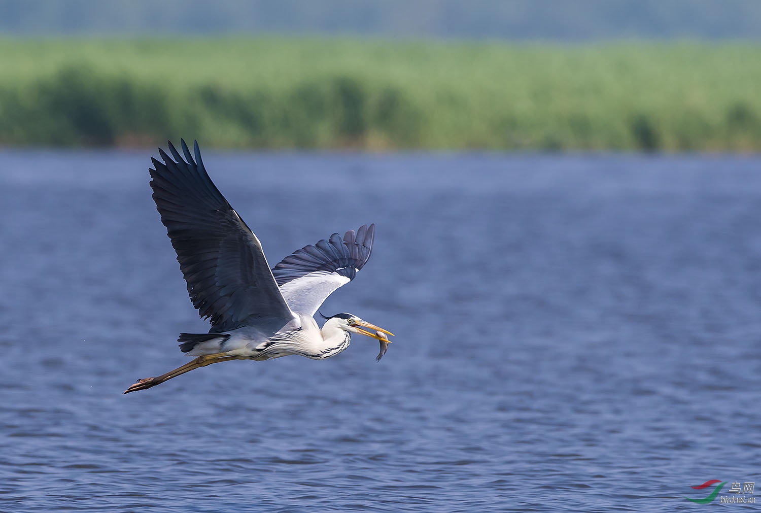 DSC_6388.jpg