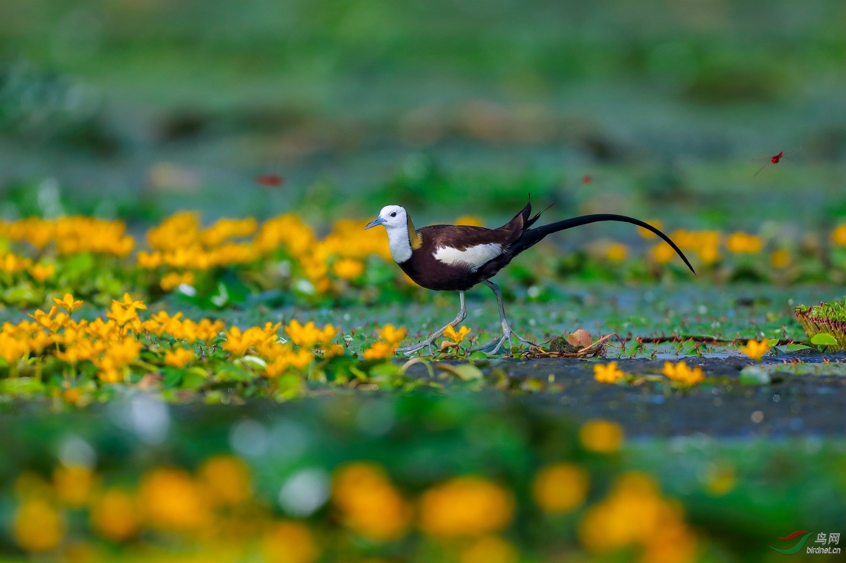 ���� (2).jpeg