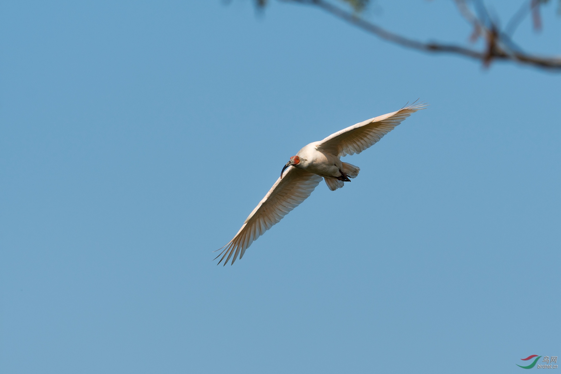DSC_3565_����.jpg