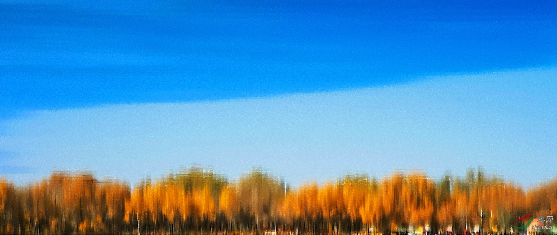 -4454-000.jpg