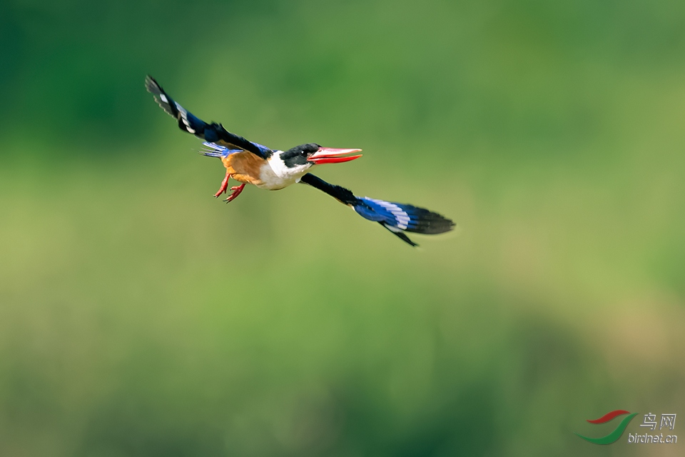 DSC_7659_DxOa.jpg