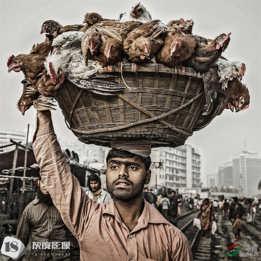 ������  һ��Ϸ�绯ʮ�����Ƭ�� ��Ӱʦ:���Ǳ(����)����Ʒ�ٻ��������(IAAP Gold��