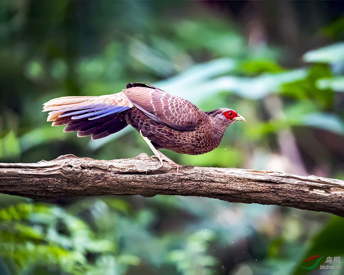 _DSC5734---07-05AC-�ҿ�ȸ��---25T.jpg