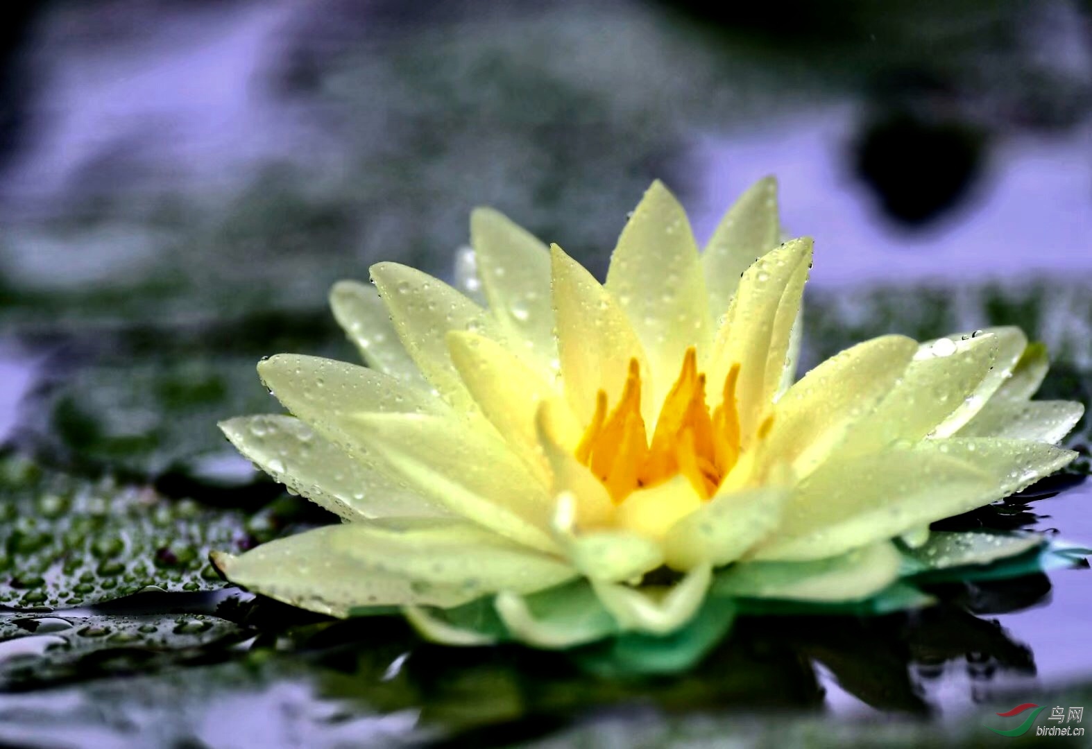 438A3094-1B75-45B0-B34F-D94D6DF41414.jpeg