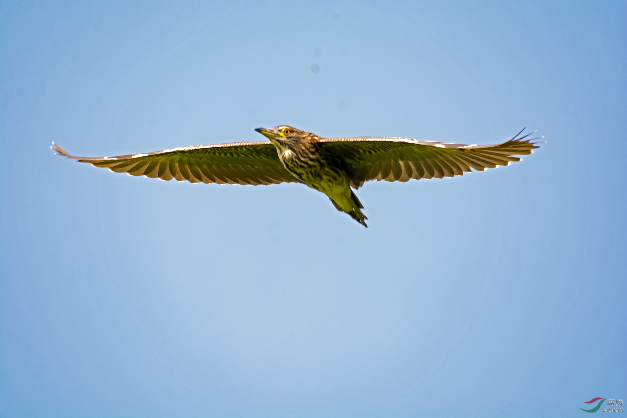 DSC_6925.jpg