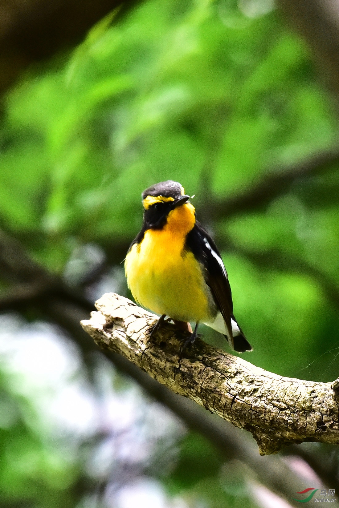 DSC_0631.JPG