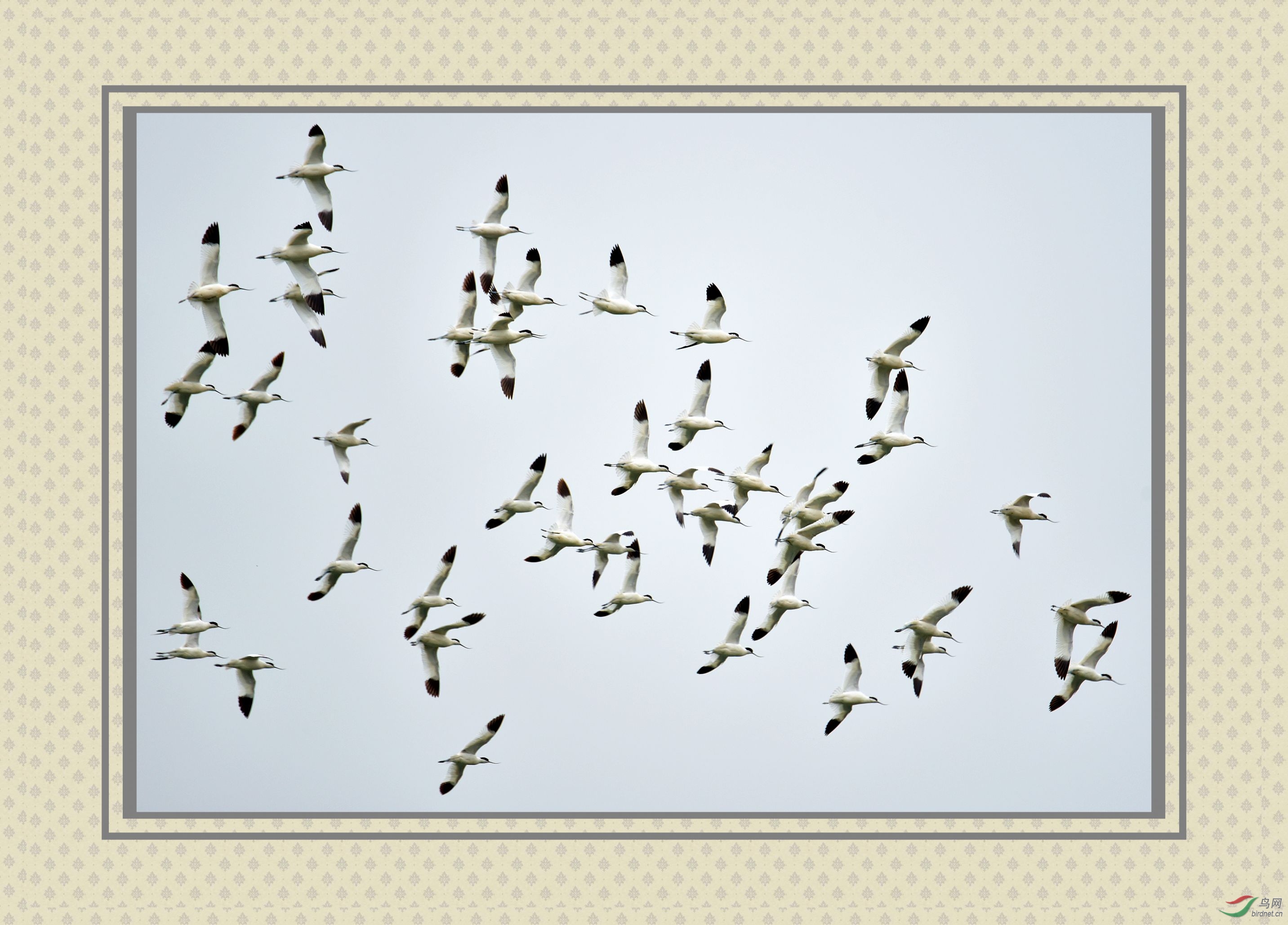 DSC_6188_conew1.jpg