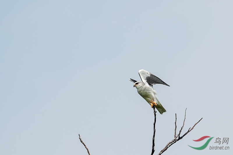 DSC04322.jpg