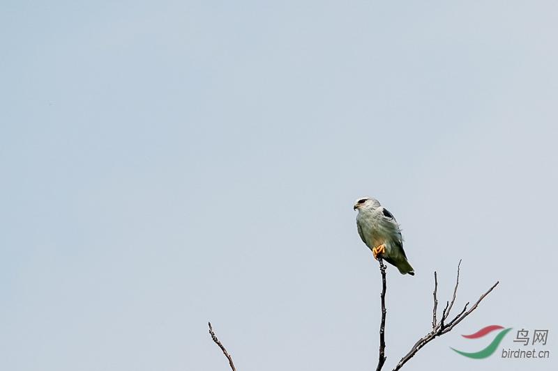 DSC04318.jpg