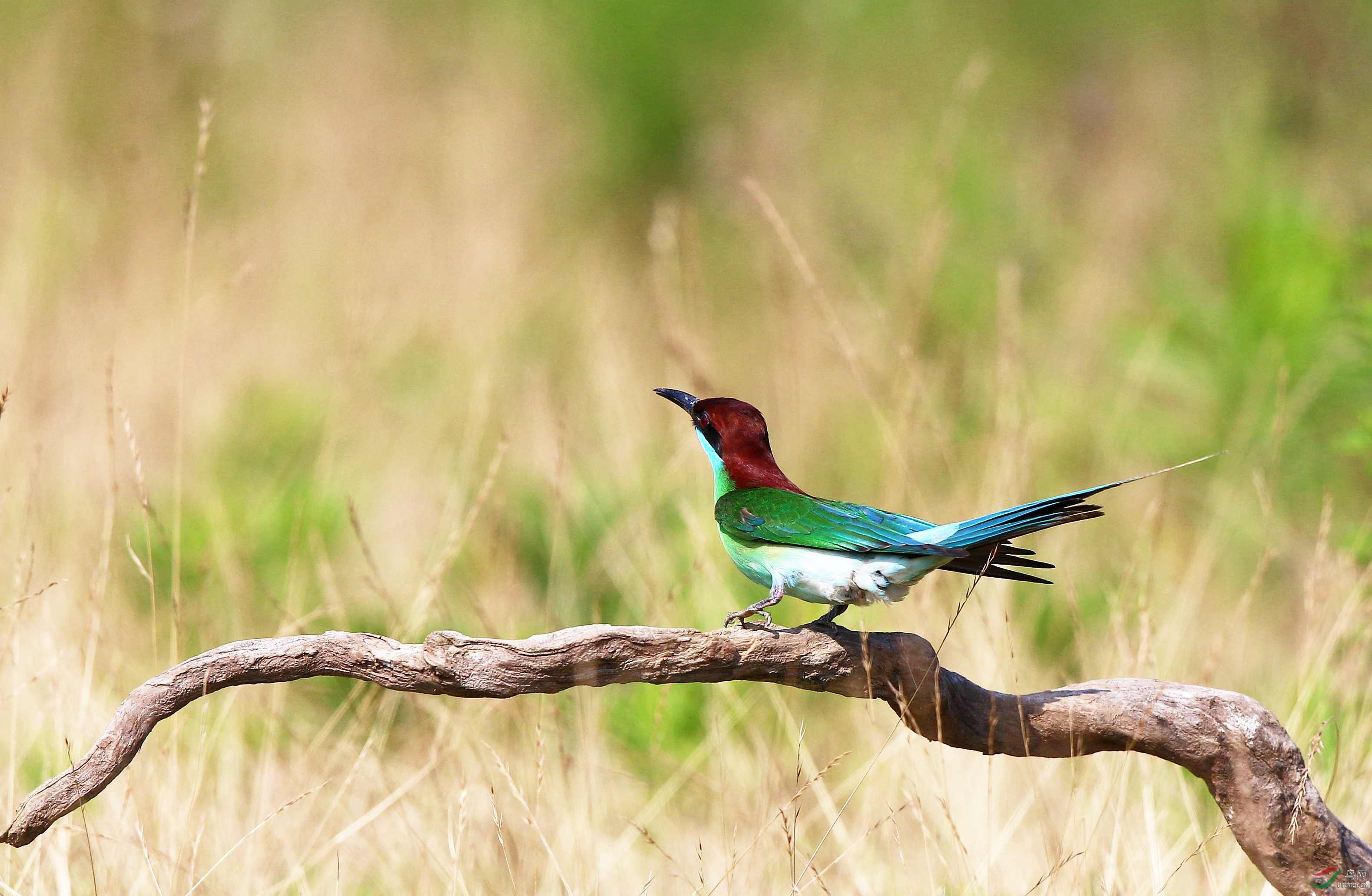 H46R3979_���� (2).jpg