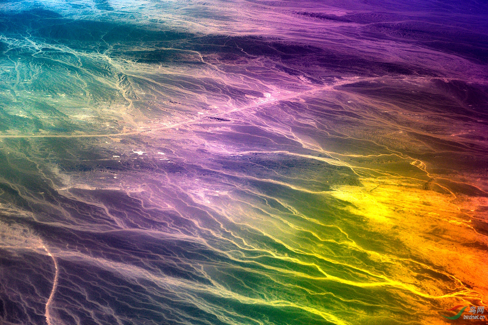 _D8A5527_6738a.jpg