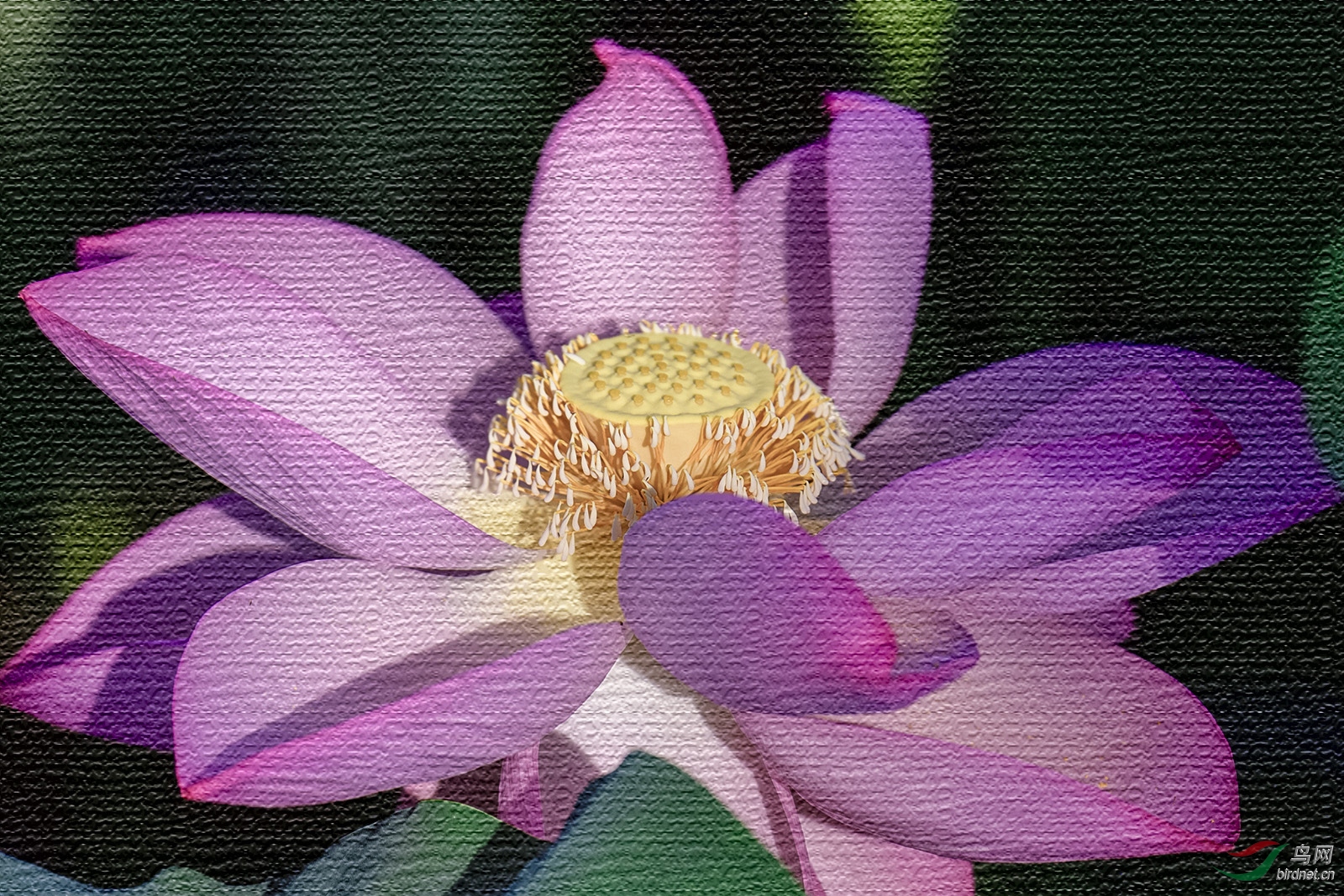 _D5S8604_6826a.jpg