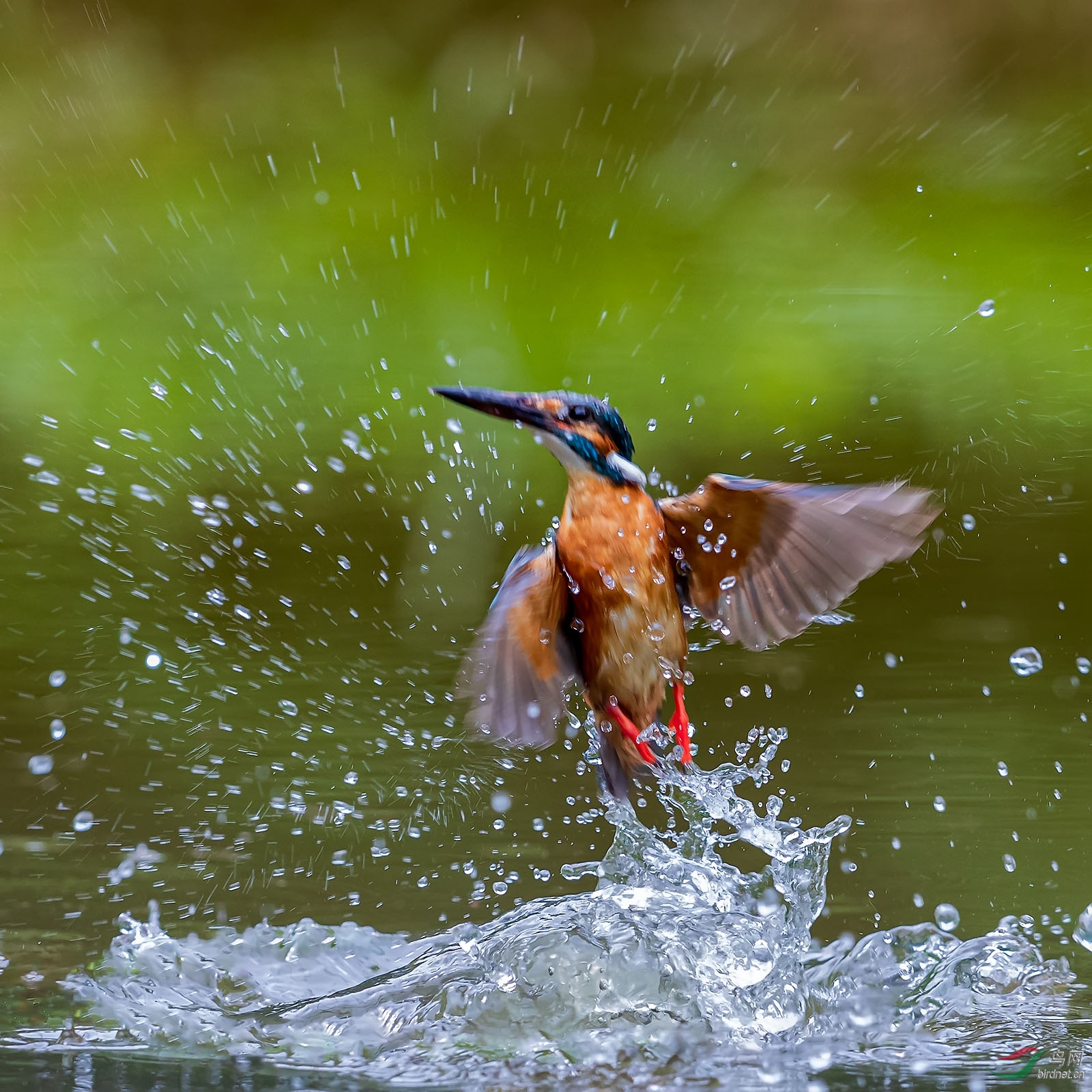 sdly190727_3615 ����.jpg