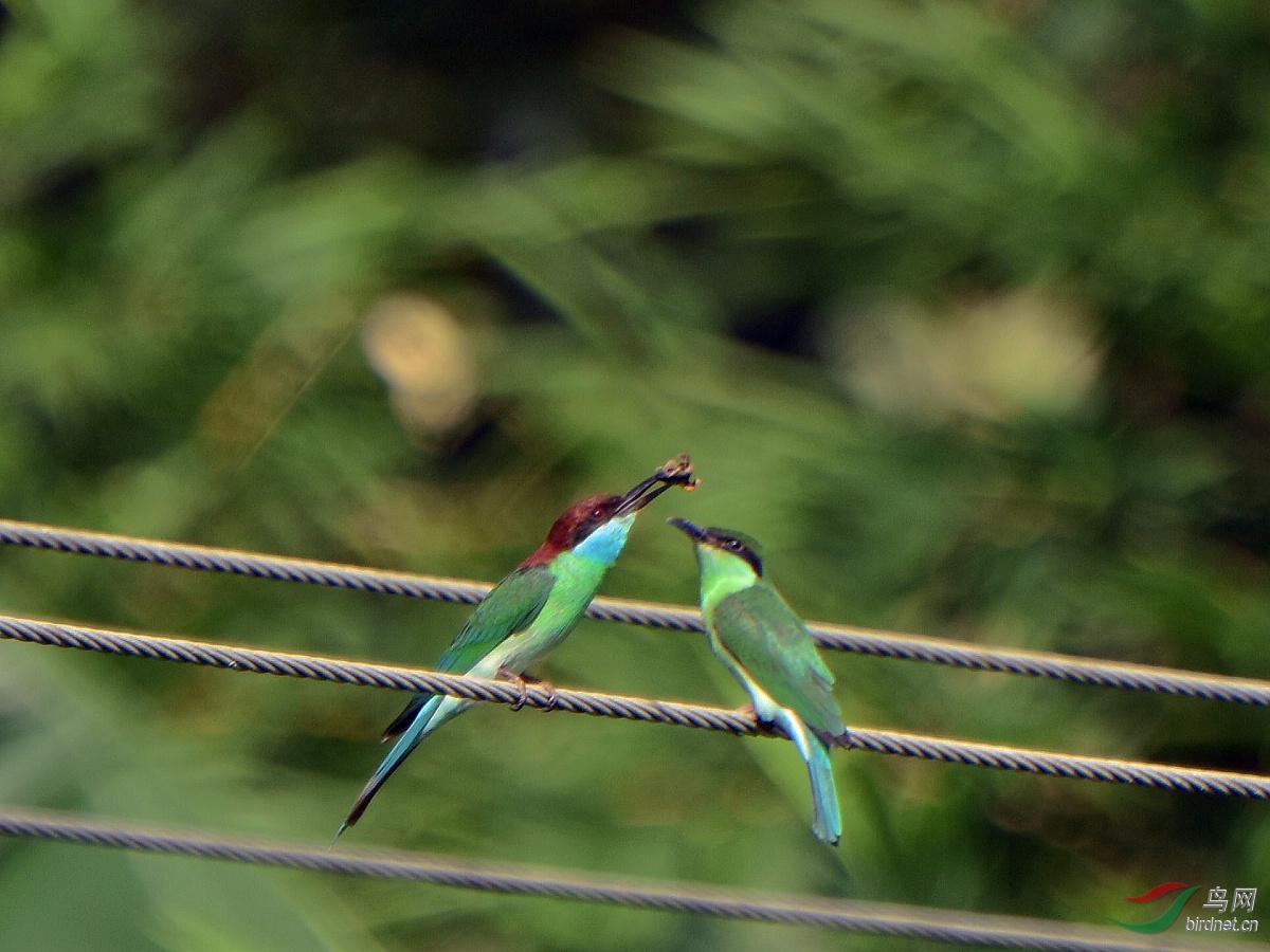 D8I_5700.jpg