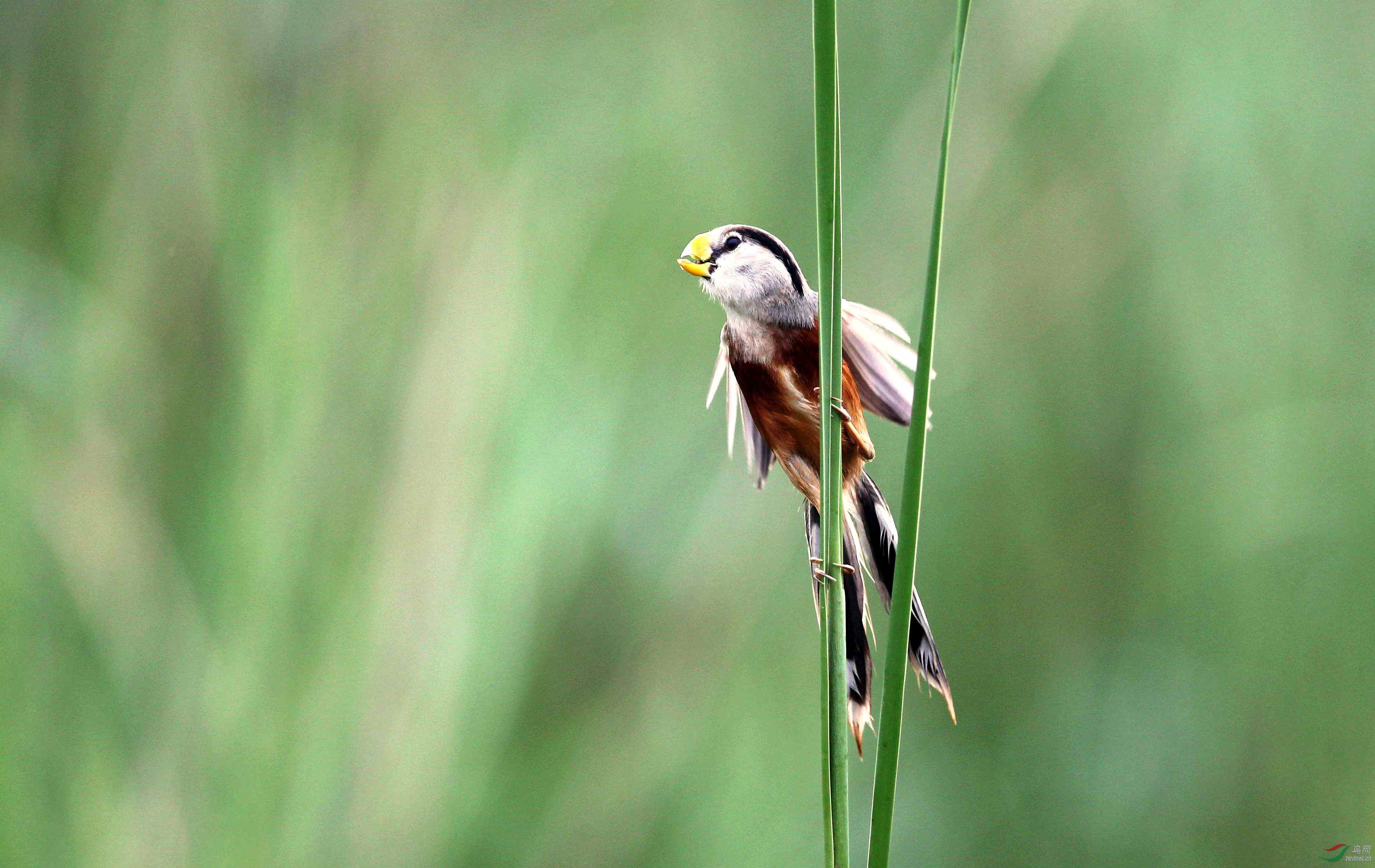 H46R2087_���� (2).jpg