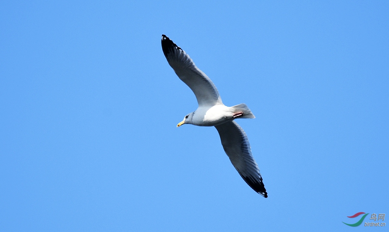 D50_7377.jpg