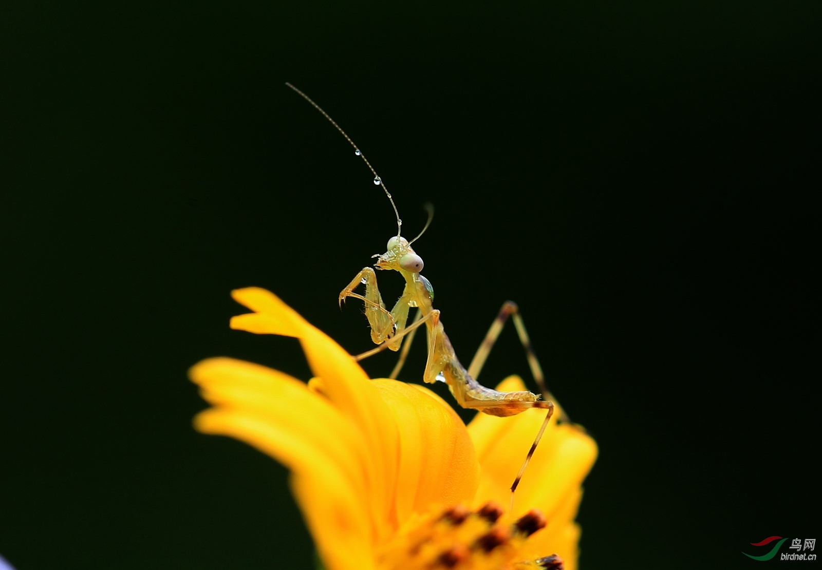 AI0I9853 - ����.JPG